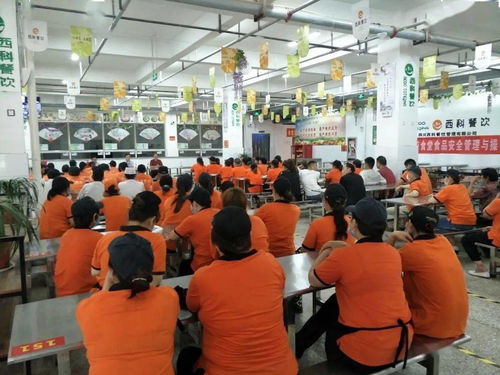 皖北经济技术学校召开食堂食品安全管理与操作规范 培训会